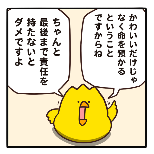 でぶどりの暮らし_ペット飼いたい_ペットを飼う責任について説明するヒヨ