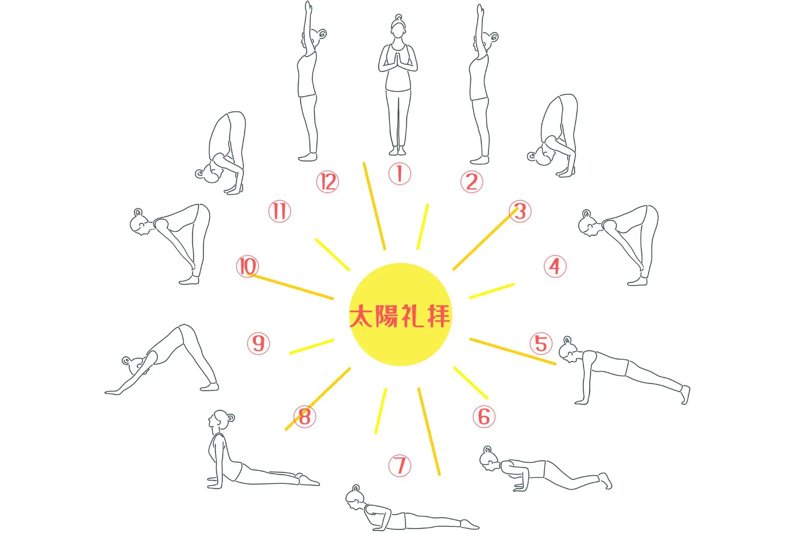 太陽礼拝のポーズを一つずつ確認しよう!