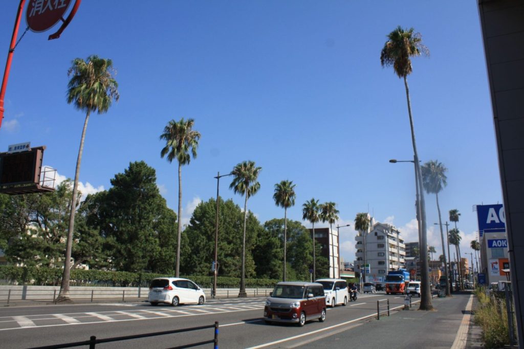 国道225号線