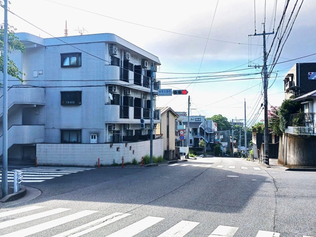 一本桜交差点からJR南鹿児島駅方面へ下るルート周辺の光景