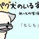 【パグ犬のいる家】めーとの生活(39)「もしも」アイキャッチ