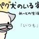 【パグ犬のいる家】めーとの生活（40）「いつも」アイキャッチ