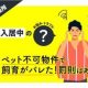 サムネイル・CHINTAI法律相談所