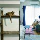 【猫との暮らし】2匹の保護猫と一人暮らしの部屋づくり。キャットタワーもDIY！