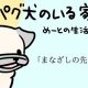 パグ犬のいる家・めーとの生活「まなざしの先に」