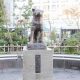 渋谷駅前の名所・忠犬ハチ公像