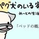 【パグ犬のいる家】めーとの生活（24）「ベッドの概念」