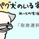 【パグ犬のいる家】めーとの生活（25）「取捨選択」