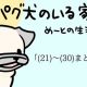 パグ犬_30回まとめ_アイキャッチ