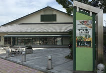 ラッキー