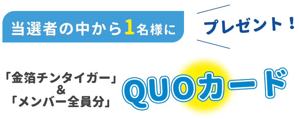 金箔チンタイガー入り全メンバーセットQUOカードプレゼント