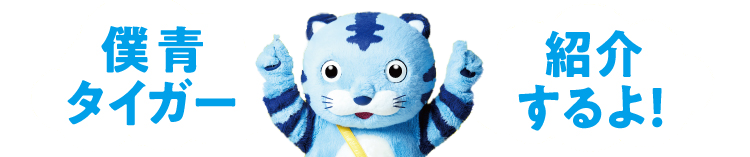 僕青タイガー紹介するよ！